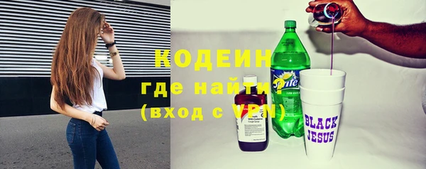 ПСИЛОЦИБИНОВЫЕ ГРИБЫ Арсеньев