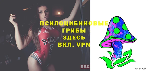 ПСИЛОЦИБИНОВЫЕ ГРИБЫ Арсеньев