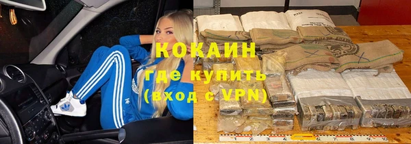 ПСИЛОЦИБИНОВЫЕ ГРИБЫ Арсеньев