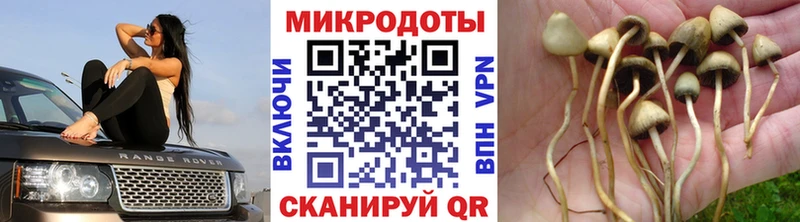 Галлюциногенные грибы Magic Shrooms Строитель