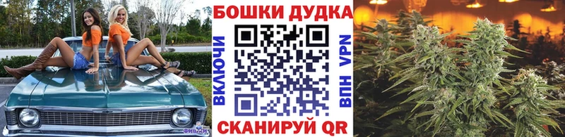 цены   Строитель  KRAKEN ссылки  Конопля Amnesia 
